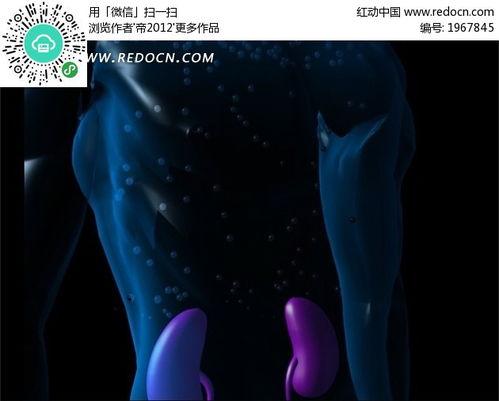 亚洲免费人体视频